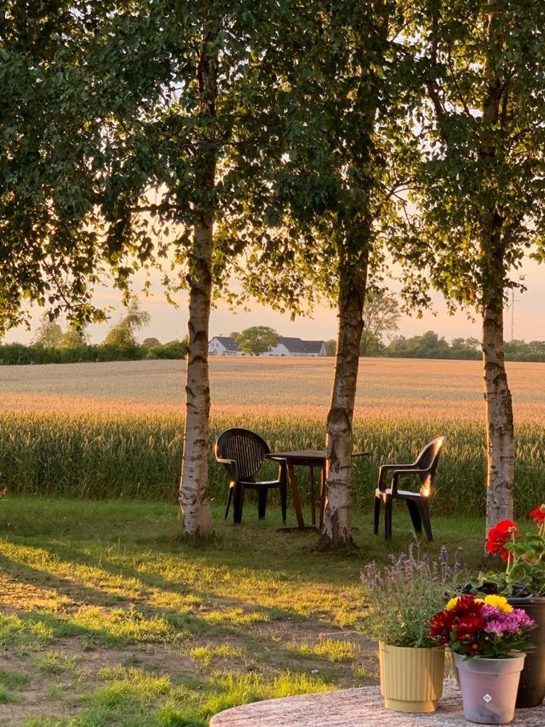 Romantik Luxus Glamping 2 Idestrup エクステリア 写真