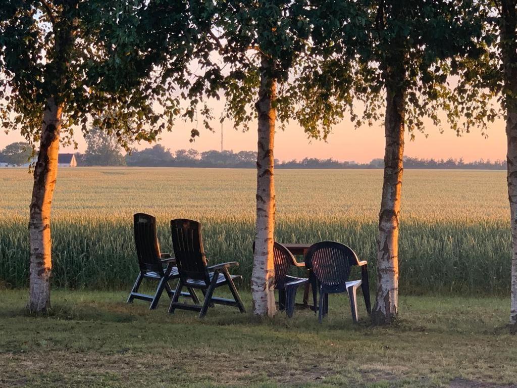 Romantik Luxus Glamping 2 Idestrup エクステリア 写真