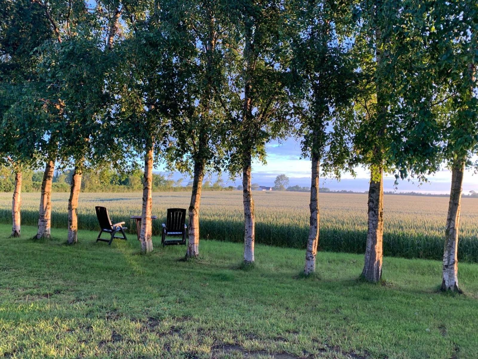 Romantik Luxus Glamping 2 Idestrup エクステリア 写真